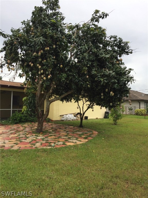 18566 Wisteria Road Fort Myers, FL 33967 - Photo 3 of 15 a view of a yard with a tree