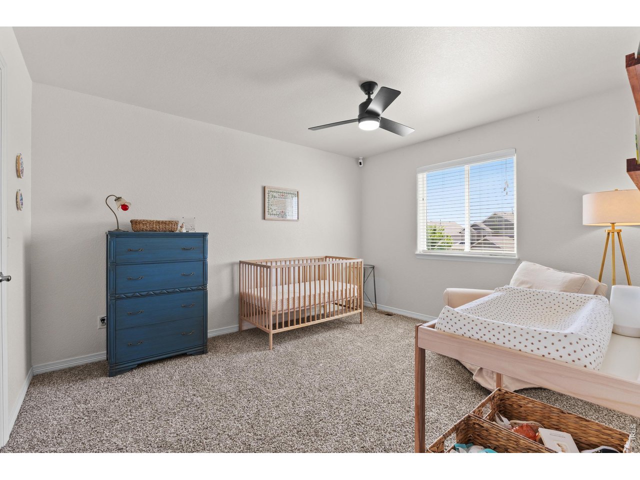 1430 Larimer Ridge Parkway Timnath, CO 80547 - Photo 25 of 41