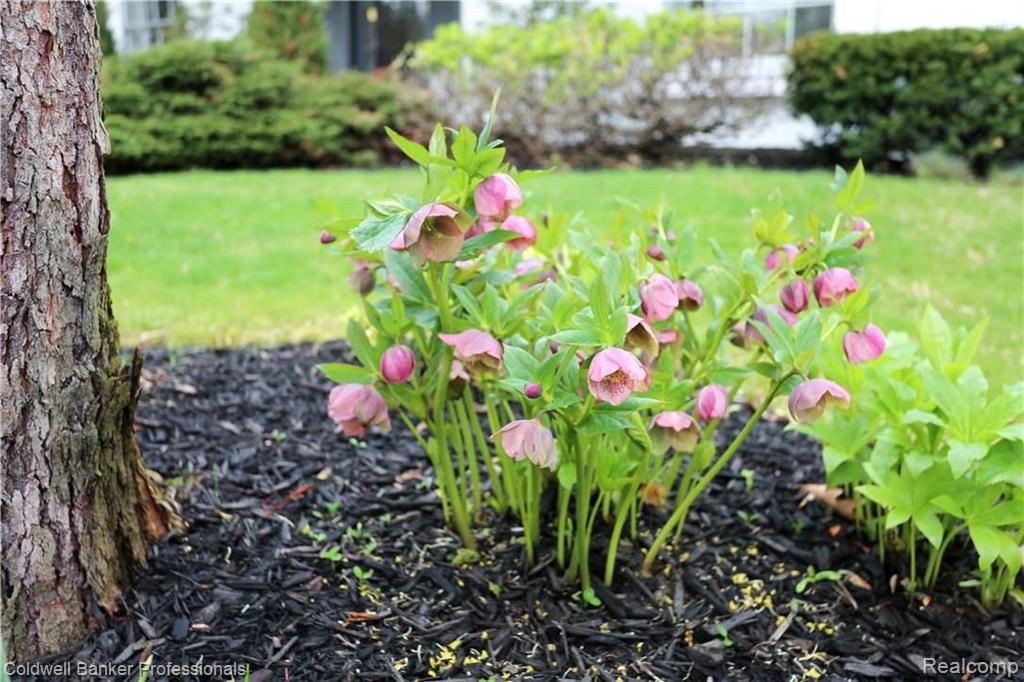 3520 Burning Bush Road Bloomfield Hills, MI 48301 - Photo 31 of 32