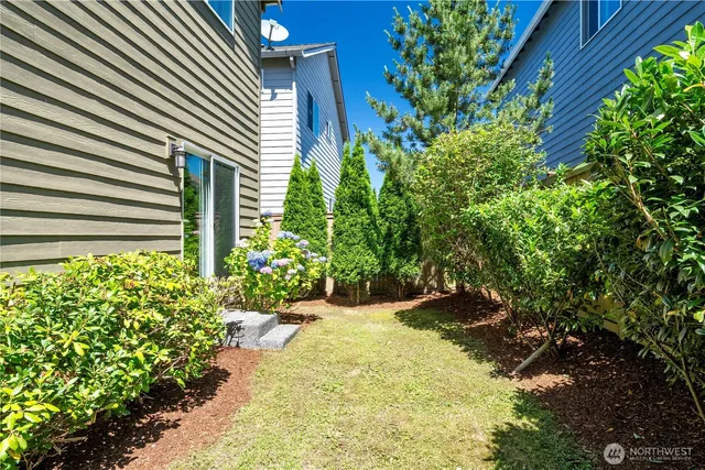 a view of a backyard with plants