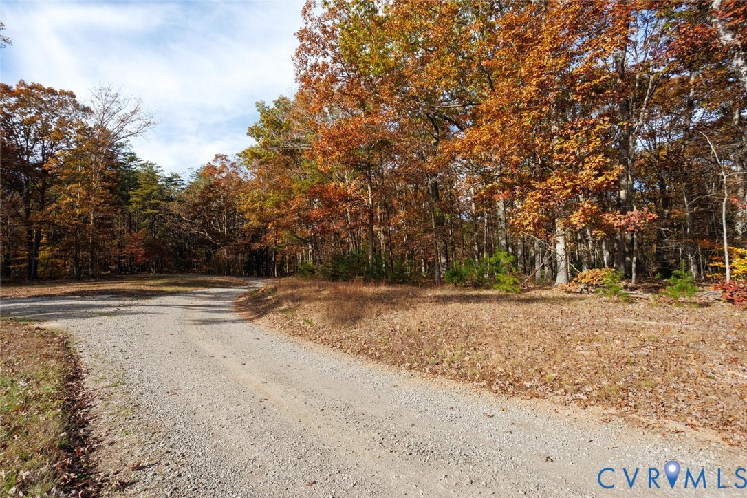 Lot 2 Maidens Road Maidens, VA 23102 - Photo 33 of 35 View of dirt / gravel road with a wooded view