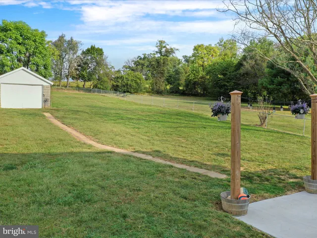 a view of a park with a big yard