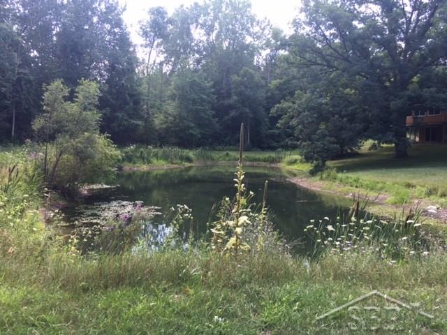 4506 Washburn Road Vassar, MI 48768 - Photo 25 of 25 31303980-26.JPG