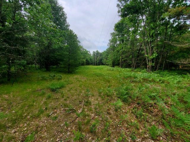 4875 Rodeo Drive West Branch, MI 48661 - Photo 3 of 8 Gallery Image 3