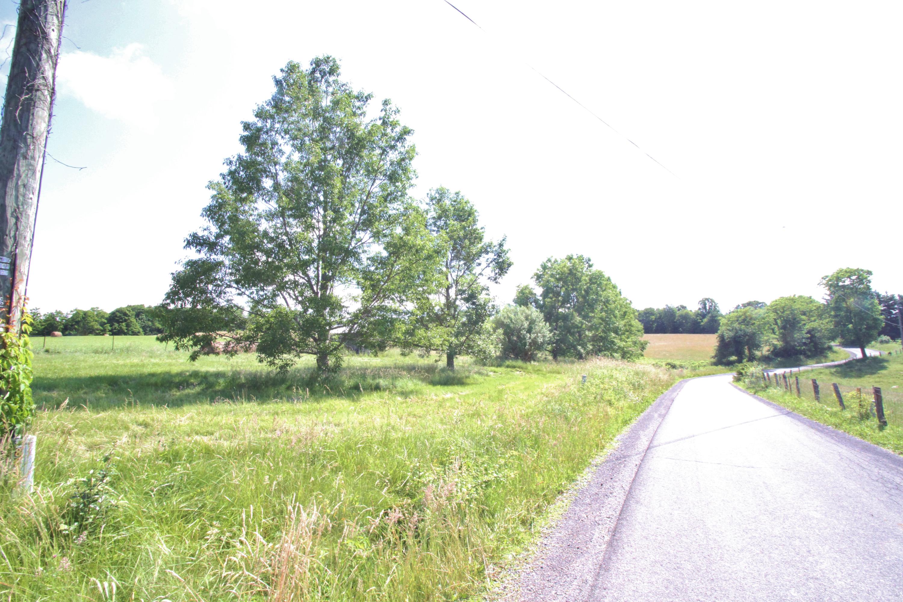 Knobs Rd Union Union, WV 24983 - Photo 14 of 21 Gallery Image 14