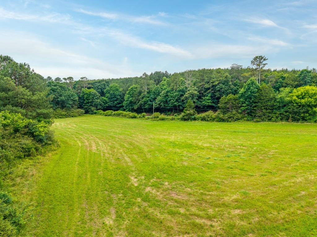 176 Big Oak Tree Road Northwest Adairsville, GA 30103 - Photo 69 of 77 a view of yard with swimming pool and green space