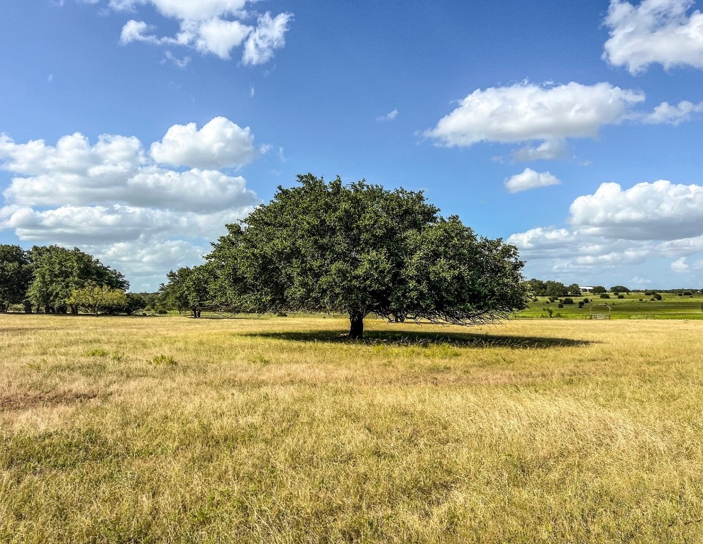 1220 County Road 225 Briggs, TX 78608 - Photo 21 of 36 a view of an ocean and beach