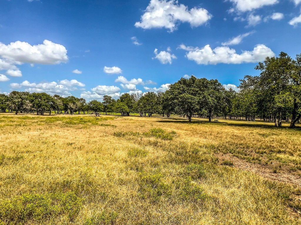 1220 County Road 225 Briggs, TX 78608 - Photo 28 of 36 a view of yard with swimming pool and green space