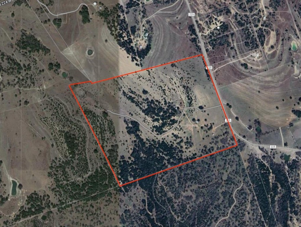 1220 County Road 225 Briggs, TX 78608 - Photo 3 of 36 a view of a forest