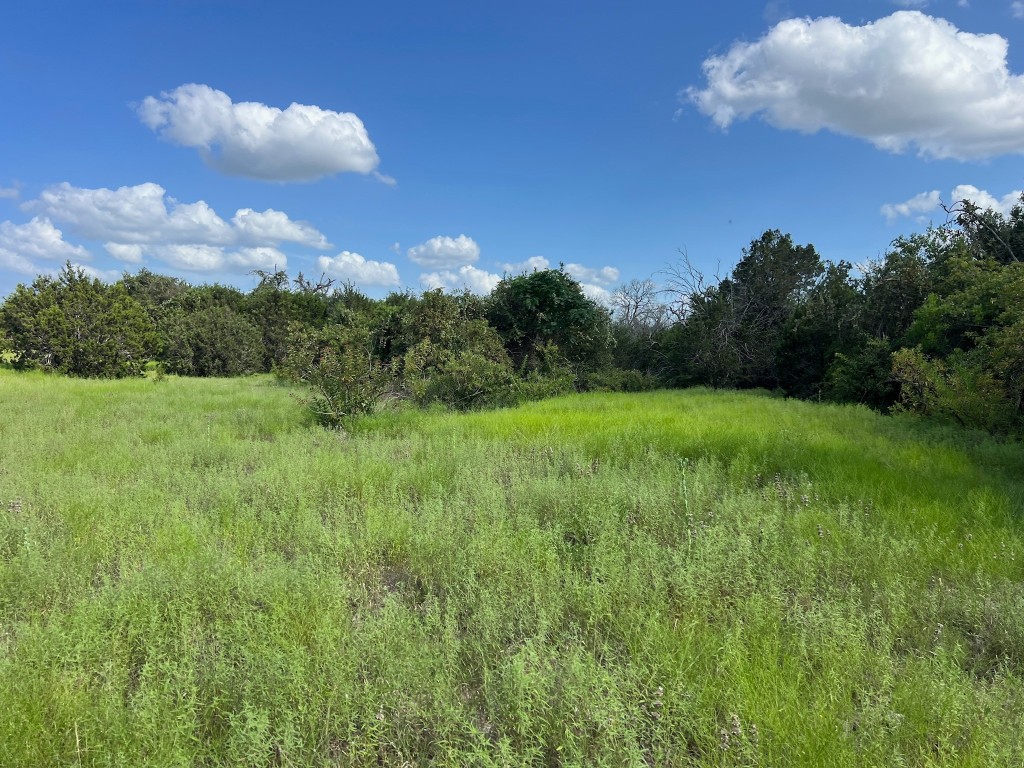 1220 County Road 225 Briggs, TX 78608 - Photo 31 of 36 a view of a big yard with potted plants and sky view