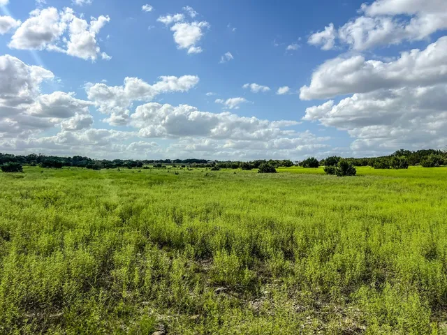 a view of an outdoor space and yard