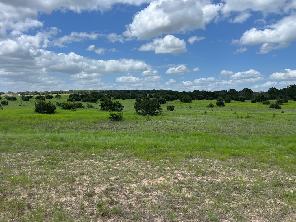 1220 County Road 225 Briggs, TX 78608 - Photo 35 of 36 a view of an outdoor space and yard