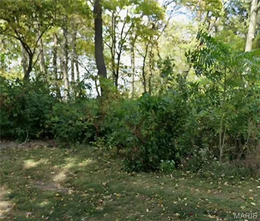 $150,000 | Xxx Briar Hill Road, Belleville, IL 62223