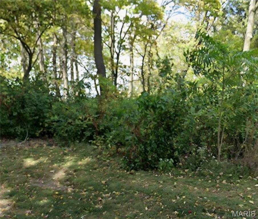Xxx Briar Hill Road Belleville, IL 62223 - Photo 1 of 8
