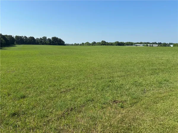 $1,000,000 | 17156 West Newell Road, Danville, IL 61834