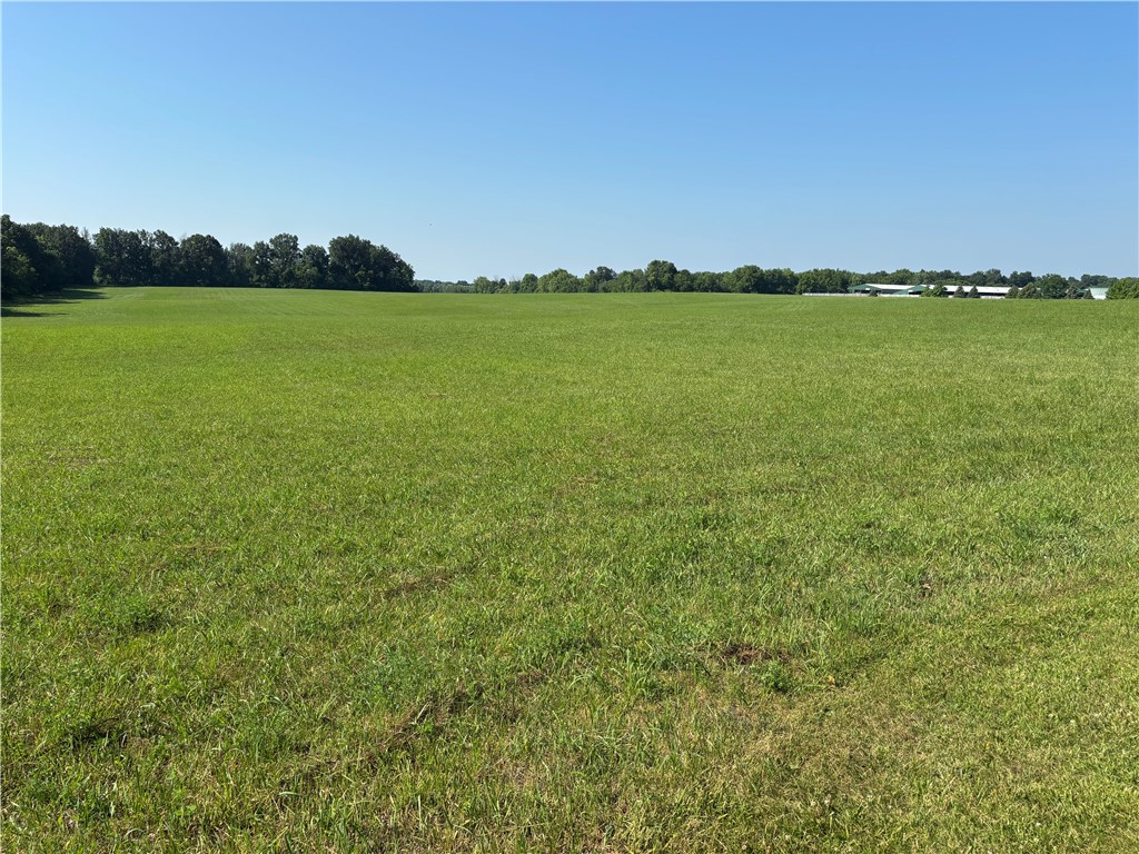 17156 West Newell Road Danville, IL 61834 - Photo 1 of 23