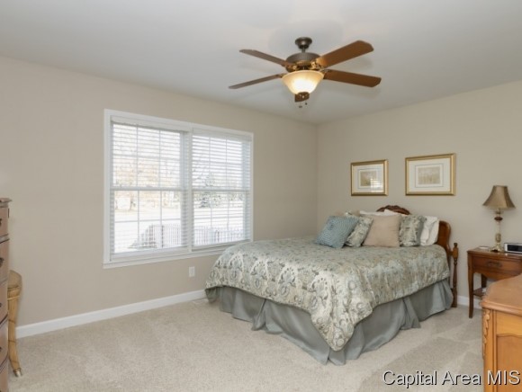 3205 Mackinaw Lane Springfield, IL 62711 - Photo 12 of 21