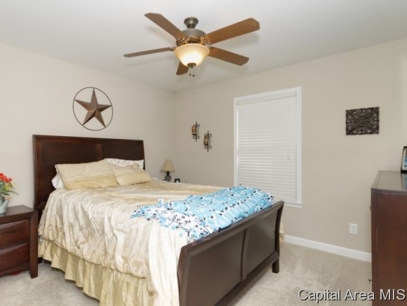 3205 Mackinaw Lane Springfield, IL 62711 - Photo 13 of 21
