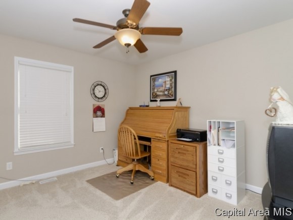 3205 Mackinaw Lane Springfield, IL 62711 - Photo 14 of 21