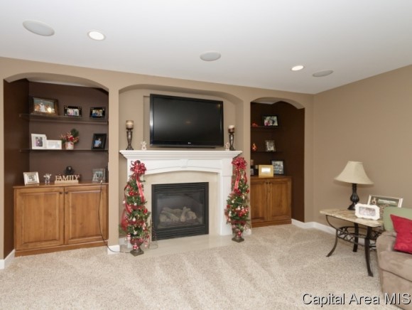 3205 Mackinaw Lane Springfield, IL 62711 - Photo 17 of 21