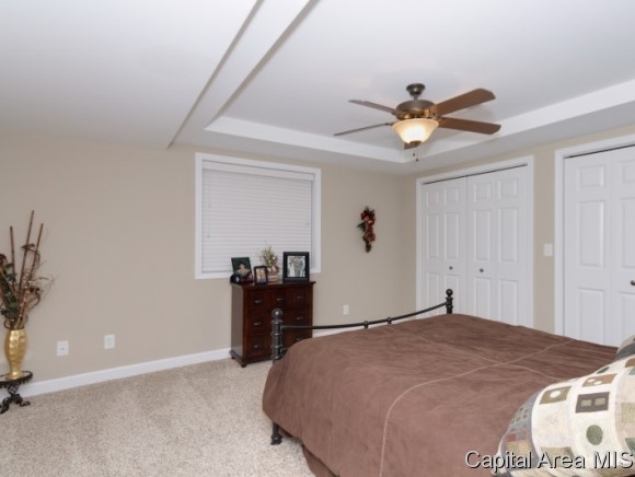 3205 Mackinaw Lane Springfield, IL 62711 - Photo 20 of 21
