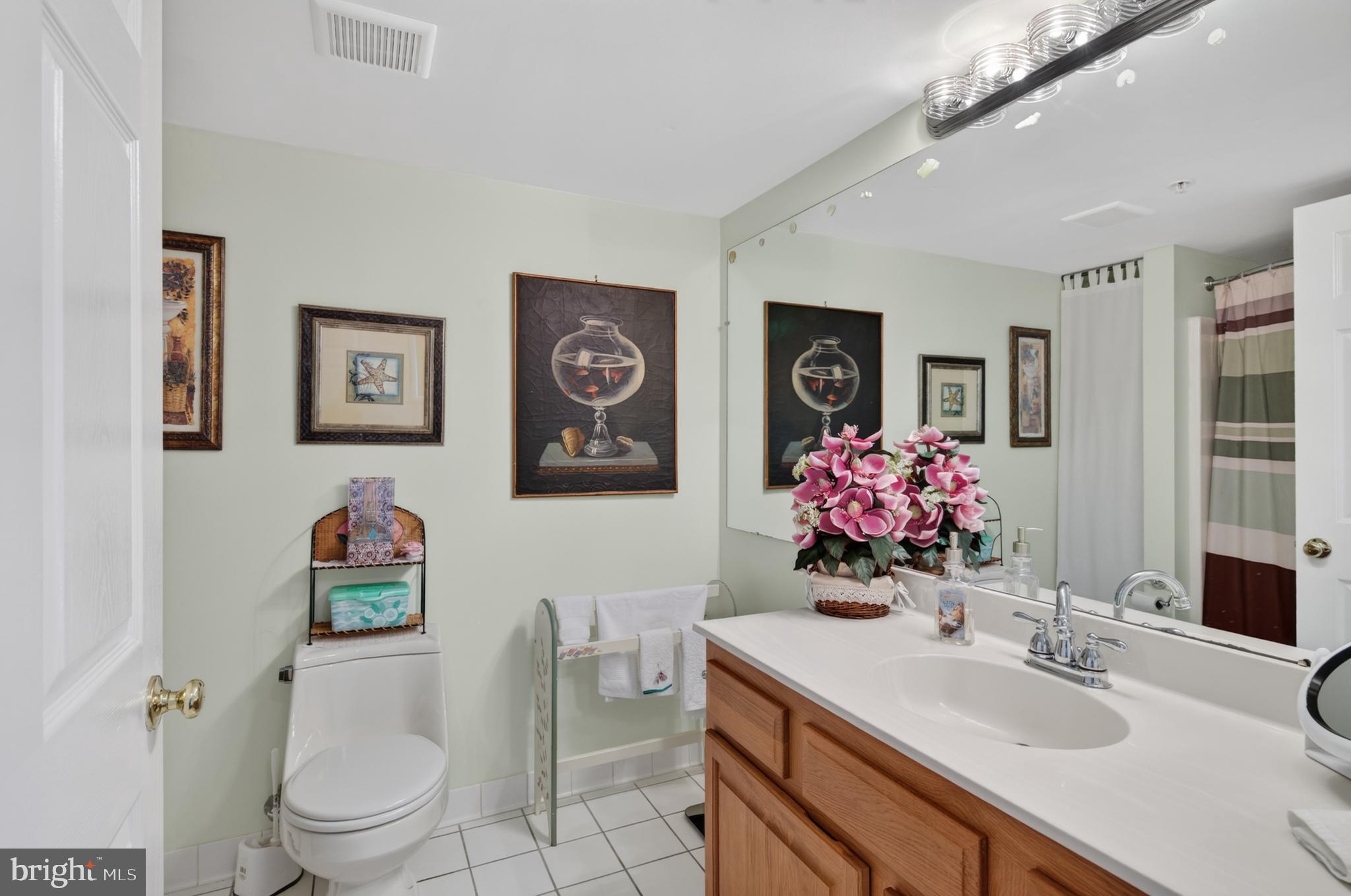 936 Bay Ridge Avenue, Unit 201 Annapolis, MD 21403 - Photo 33 of 40 a bathroom with a sink mirror and toilet