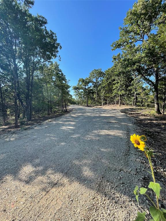 208 Red Top Road Valley View, TX 76272 - Photo 7 of 18