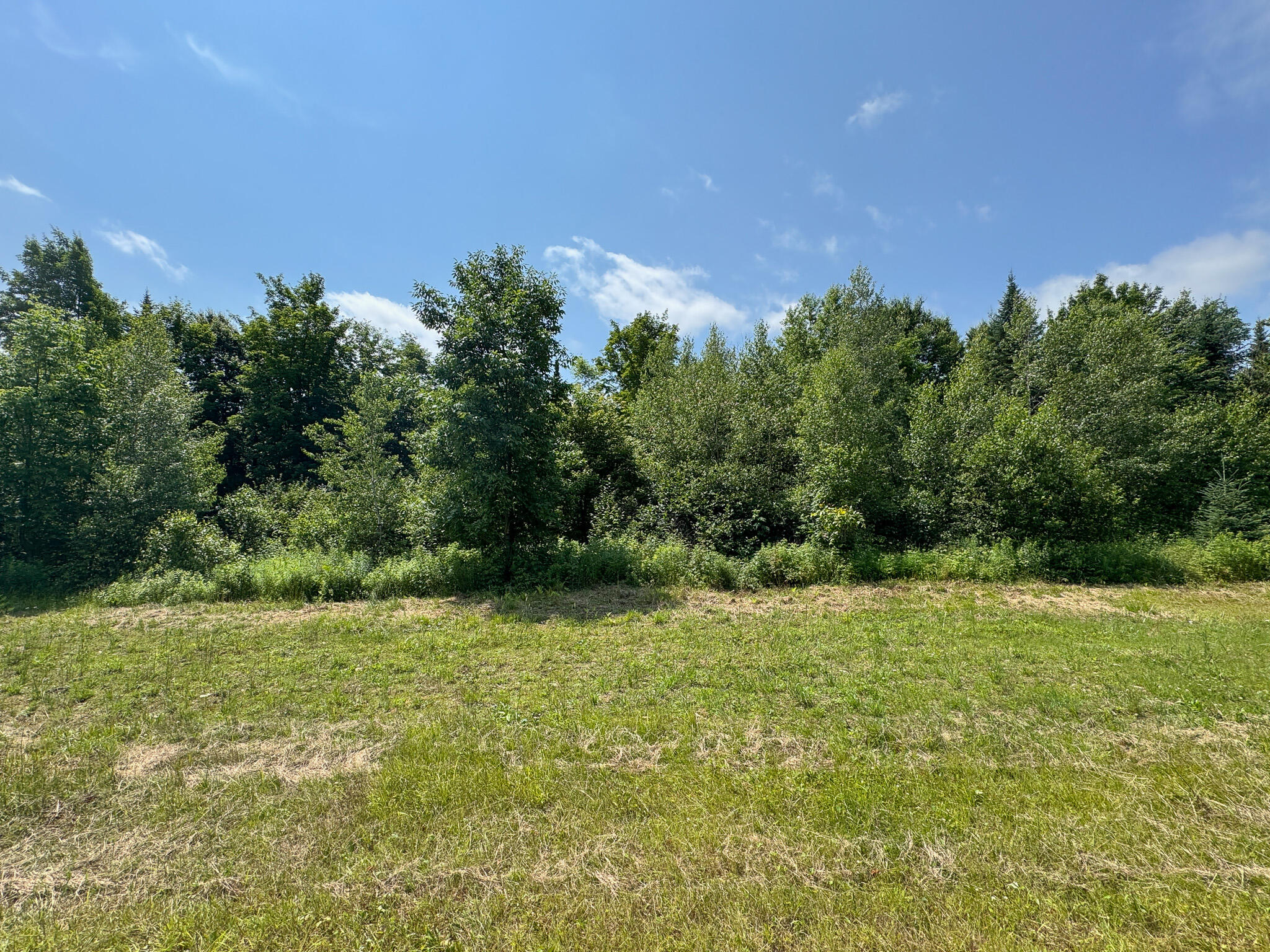 M11-l11 Sheepskin Road Carroll Plt, ME 04487 - Photo 14 of 47 12