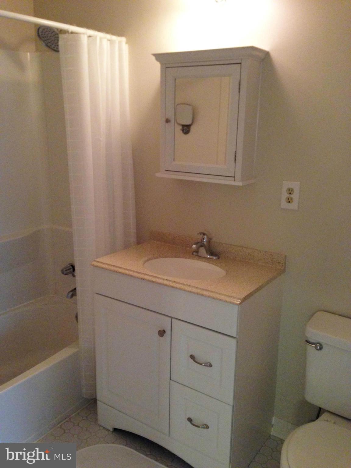 2232 White Cornus Lane Reston, VA 20191 - Photo 24 of 25 a bathroom with a sink a toilet and shower