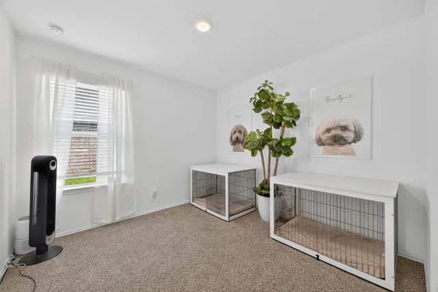 a view of a room with a window and a potted plant