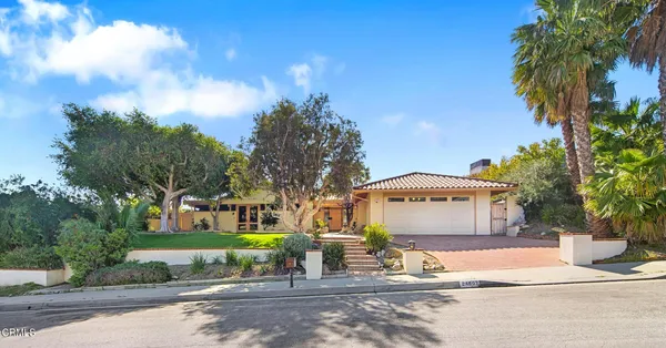 a view of a garden with plants and large trees