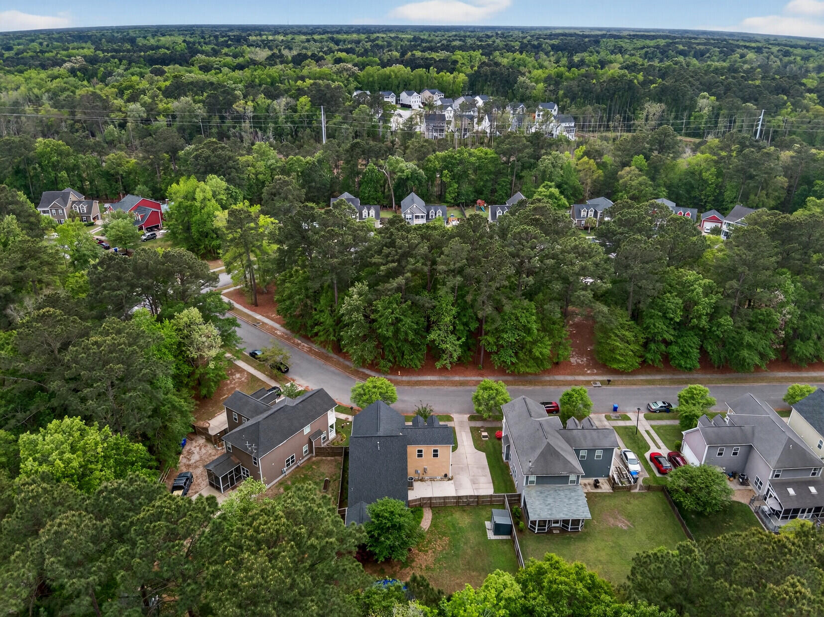 1244 Segar Street Johns Island, SC 29455 - Photo 46 of 54 Aerial