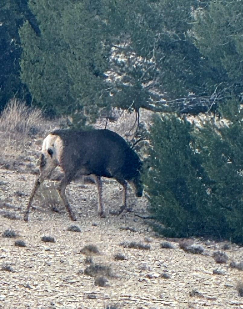 Tbd Claymine Road Rye, CO 81069 - Photo 52 of 56
