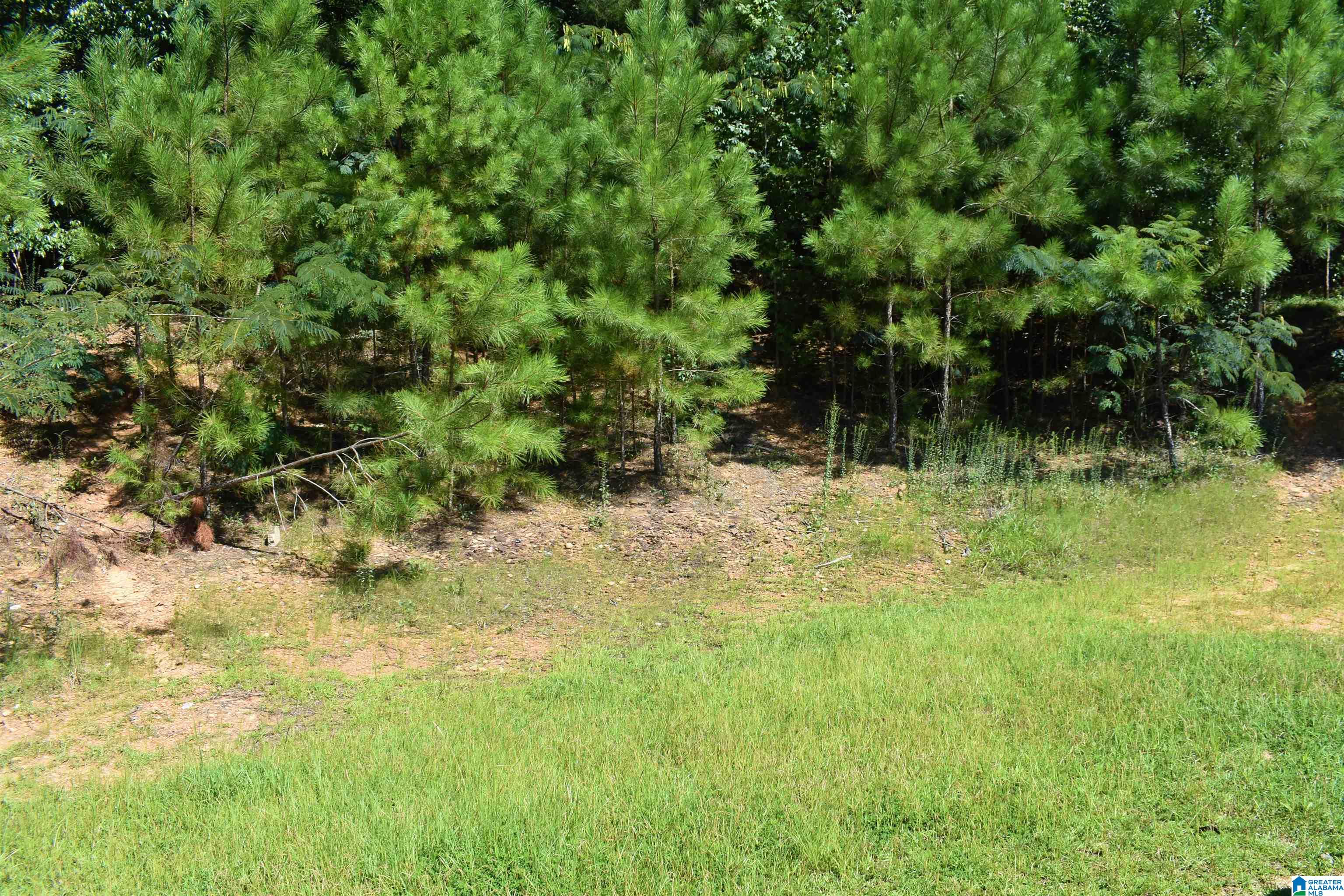 4410 Sharon Church Road, Unit 1 Pinson, AL 35126 - Photo 2 of 2 Gallery Image 2