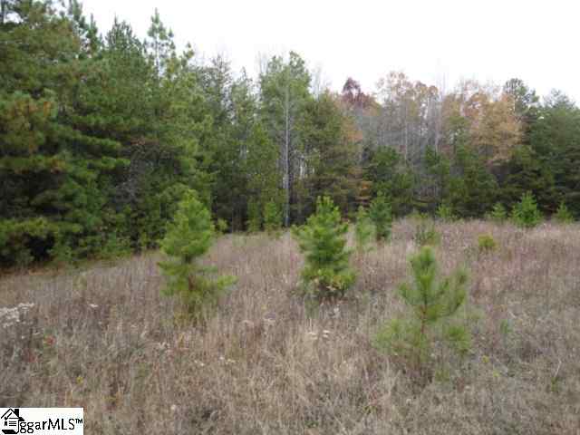 115 Gunter Road Piedmont, SC 29673 - Photo 3 of 6 Gallery Image 3