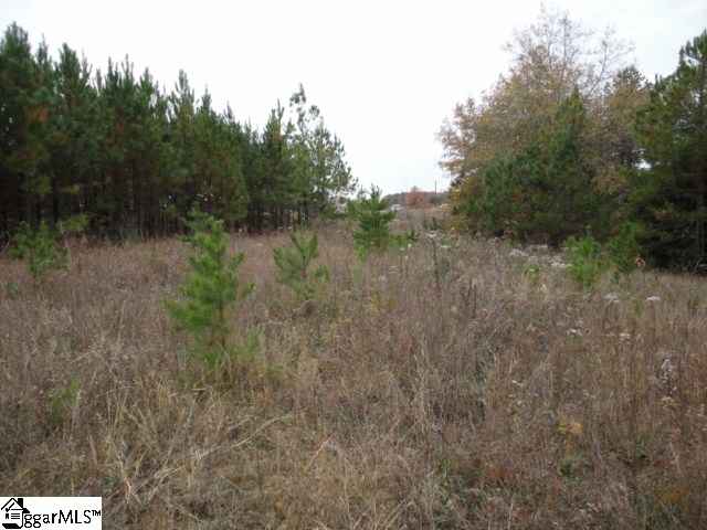 115 Gunter Road Piedmont, SC 29673 - Photo 4 of 6 Gallery Image 4