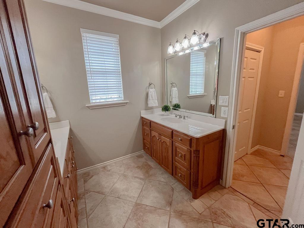 1614 Pineview Lane Hideaway, TX 75771 - Photo 29 of 48 a bathroom with a sink vanity and a mirror