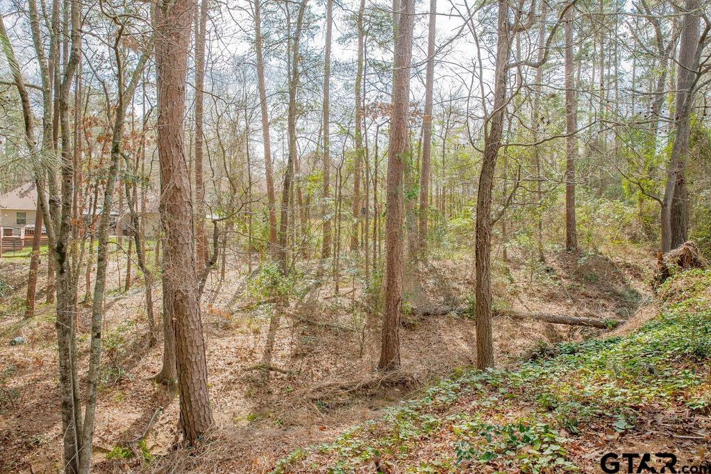 1614 Pineview Lane Hideaway, TX 75771 - Photo 5 of 48 a view of a yard with plants and trees