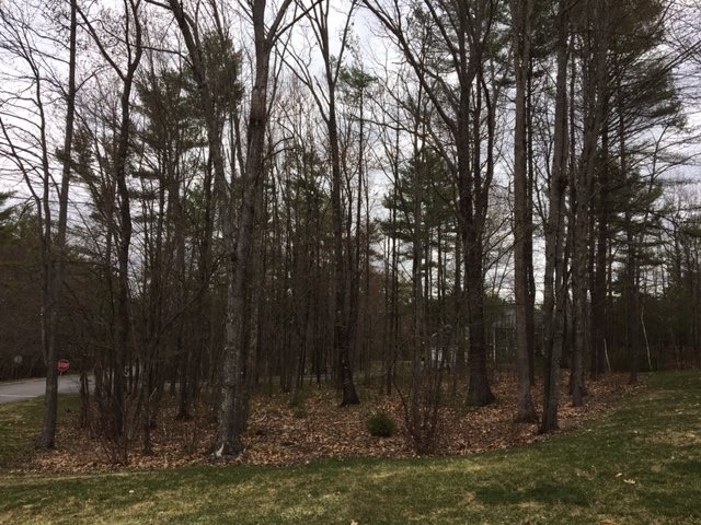 12 Beaver Dam Road South Berwick, ME 03908 - Photo 17 of 18 Gallery Image 17
