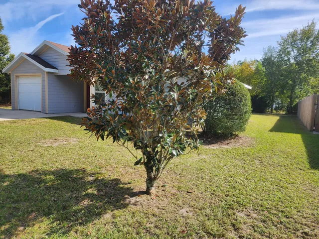 a view of yard with large trees