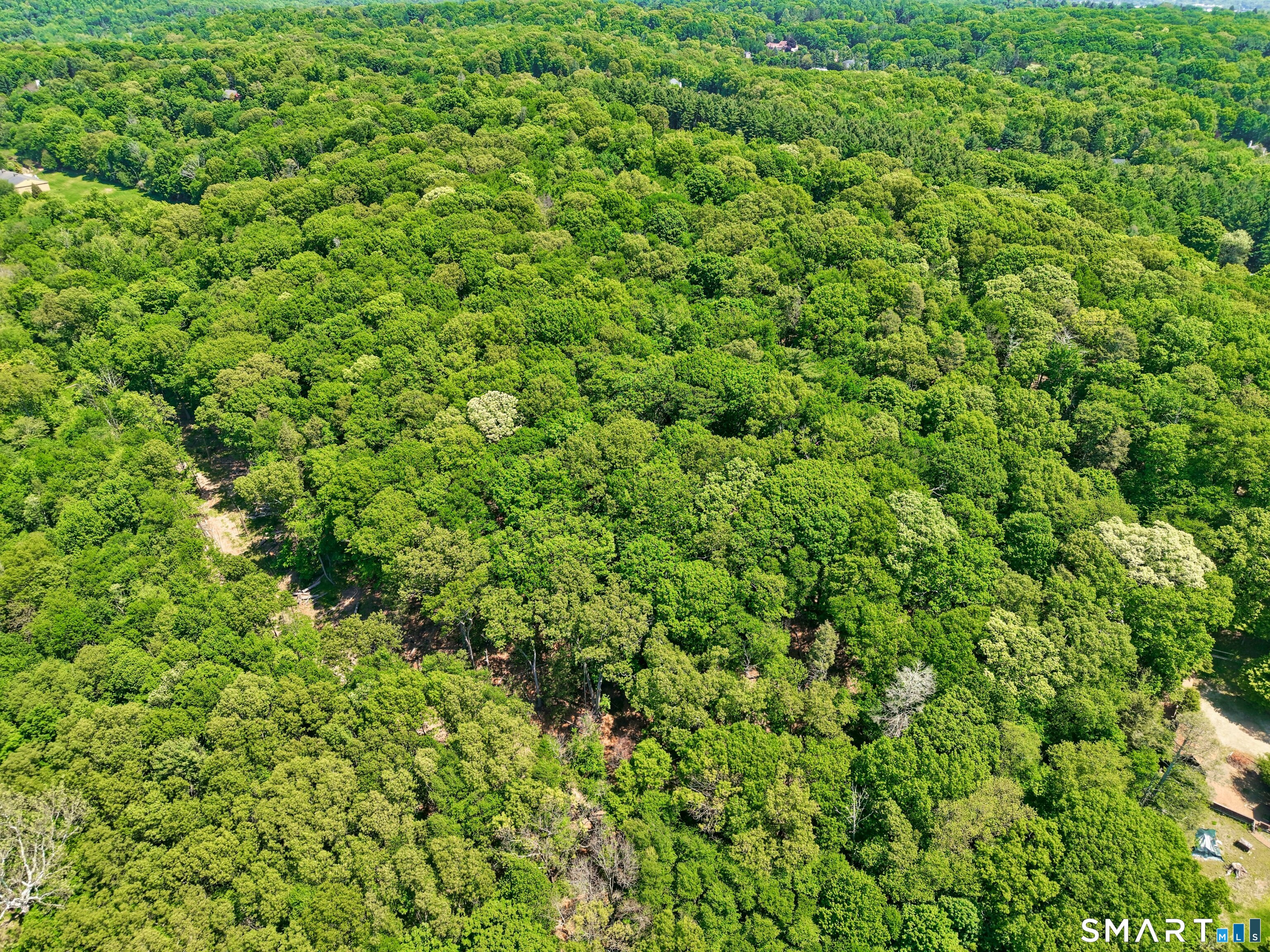 345 Spruce Bank Road Hamden, CT 06518 - Photo 4 of 5