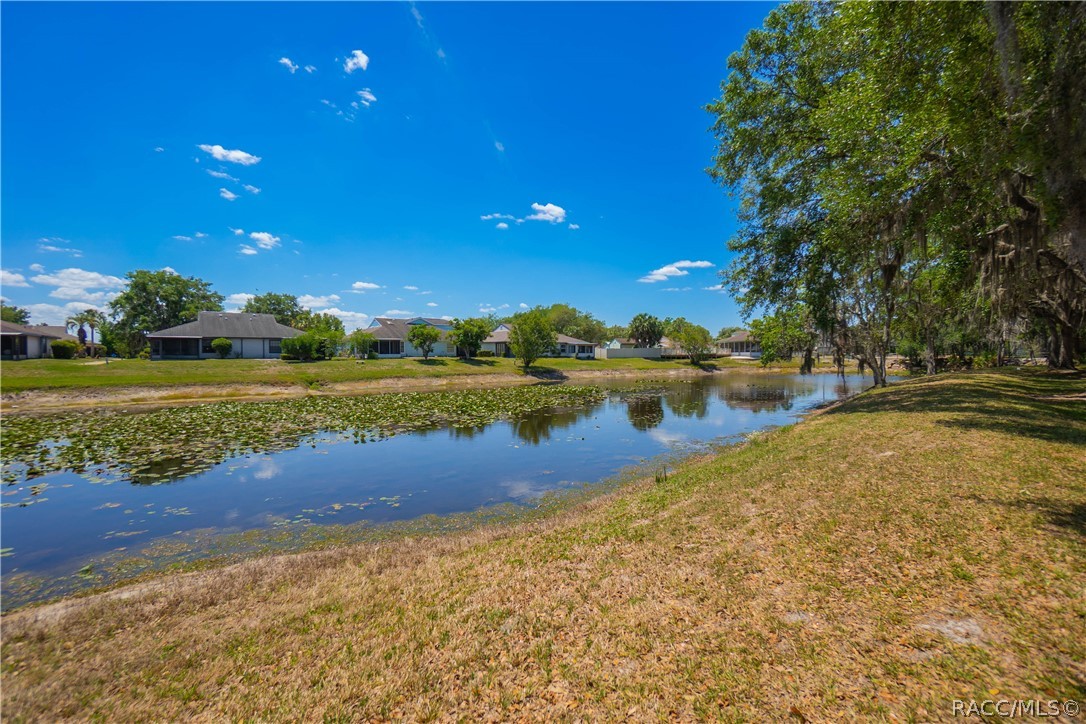 127 North Golf Harbor Path Inverness, FL 34450 - Photo 36 of 56