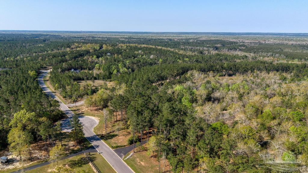 42 Buffalo Ridge Road Milton, FL 32570 - Photo 14 of 27 Gallery Image 14