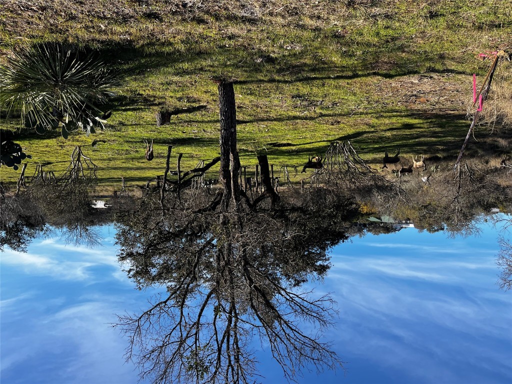 153 County Road 128 Road Burnet, TX 78611 - Photo 19 of 26