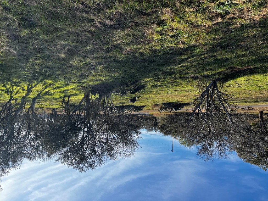 153 County Road 128 Road Burnet, TX 78611 - Photo 25 of 26