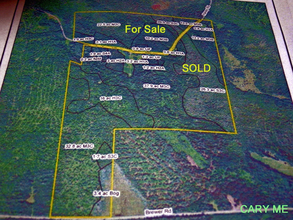 Lot 33-1 Smith Road Orient, ME 04471 - Photo 9 of 21 aerial-me-land-me-hovey