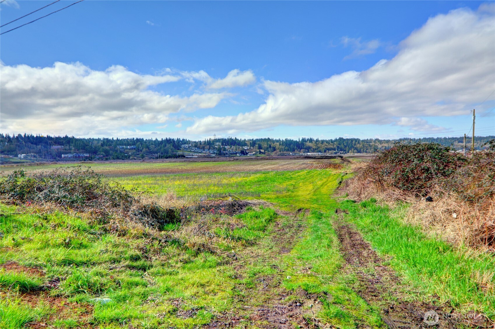 6910 Marsh Road Snohomish, WA 98296 - Photo 7 of 7 Gallery Image 7