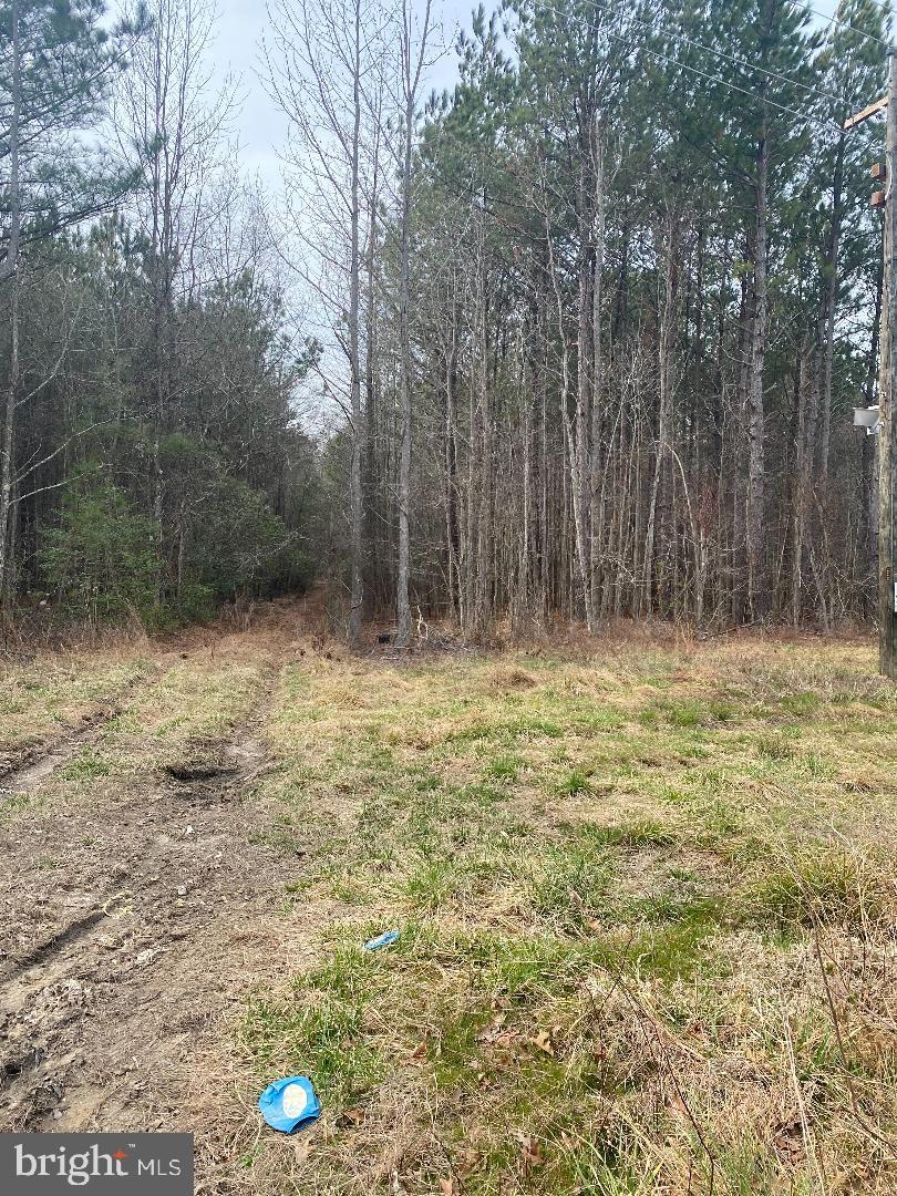 Erica Road Montross, VA 22520 - Photo 2 of 3 Gallery Image 2