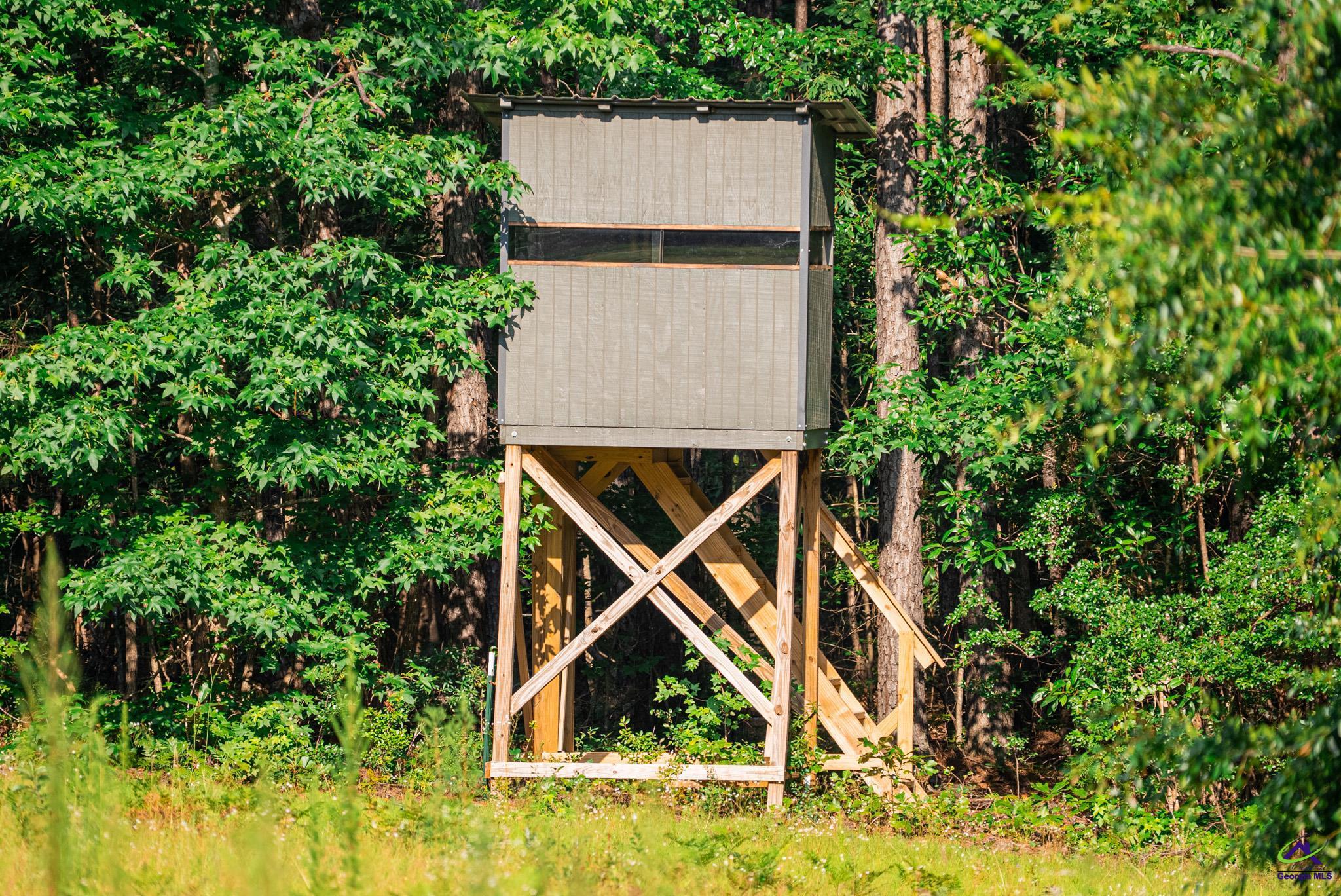 Southland Road Butler, GA 31006 - Photo 64 of 68