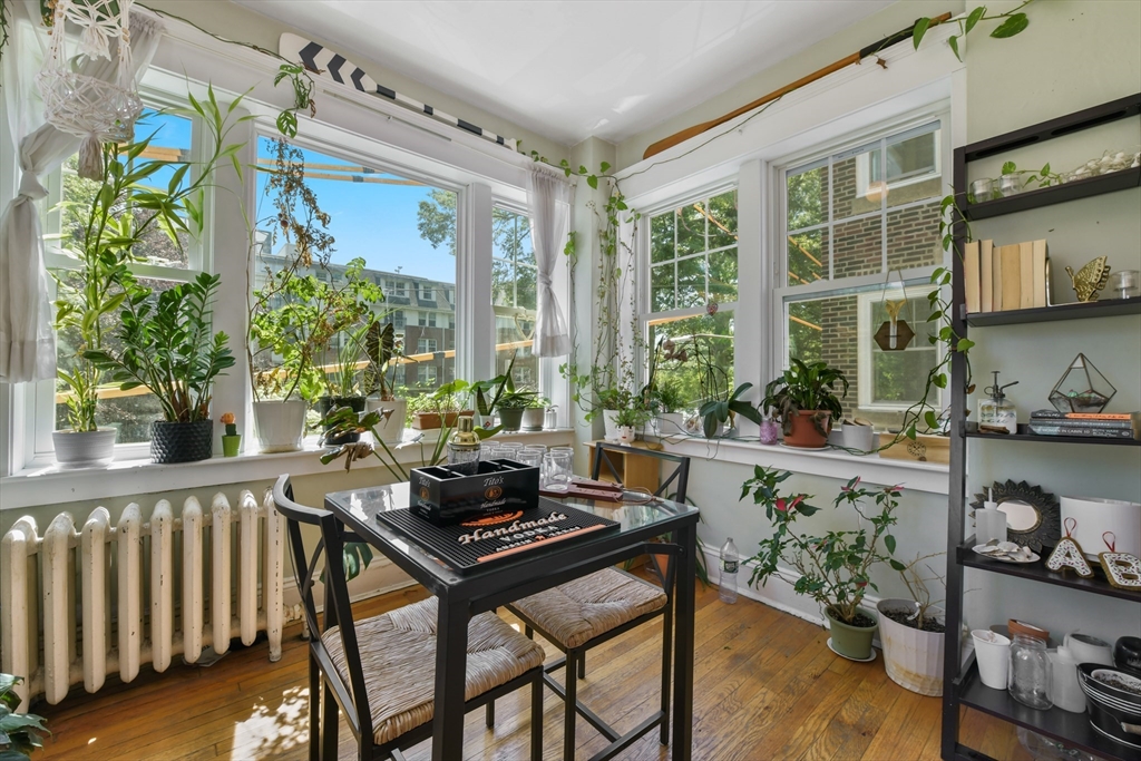 301 Allston Street, Unit 7 Boston, MA 02135 - Photo 13 of 25 a living room filled with furniture and a potted plant